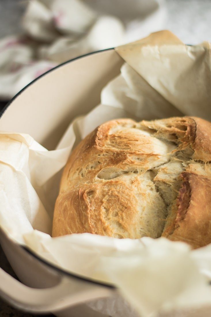 Artisan No Knead Dutch Oven Beer Bread Recipe » Not Entirely Average