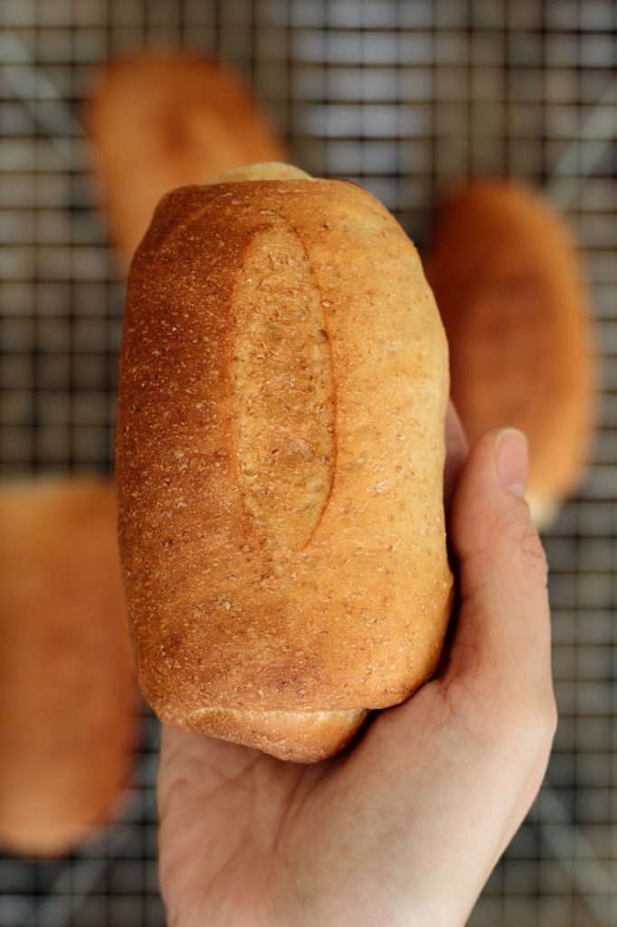 whole wheat flour sandwich roll