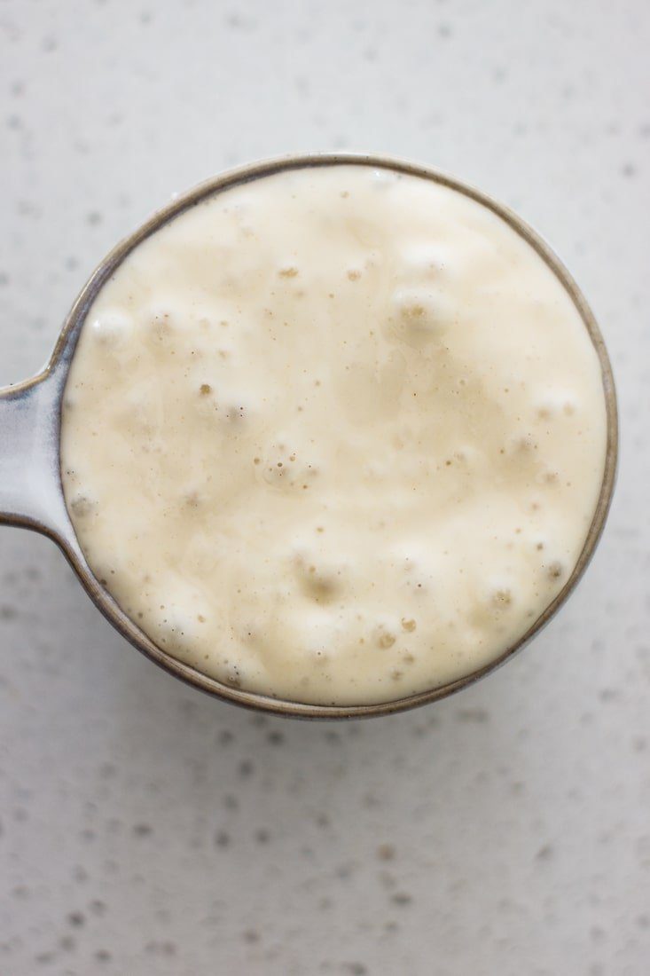 active all purpose flour sourdough culture with bubbles on top