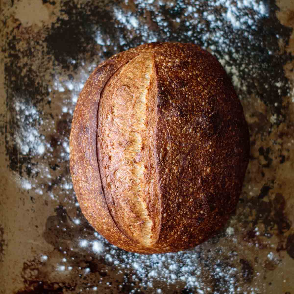 Whole sourdough bread.