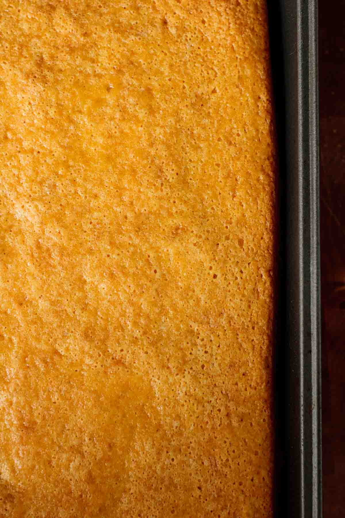 Freshly baked cake still on sheet pan.