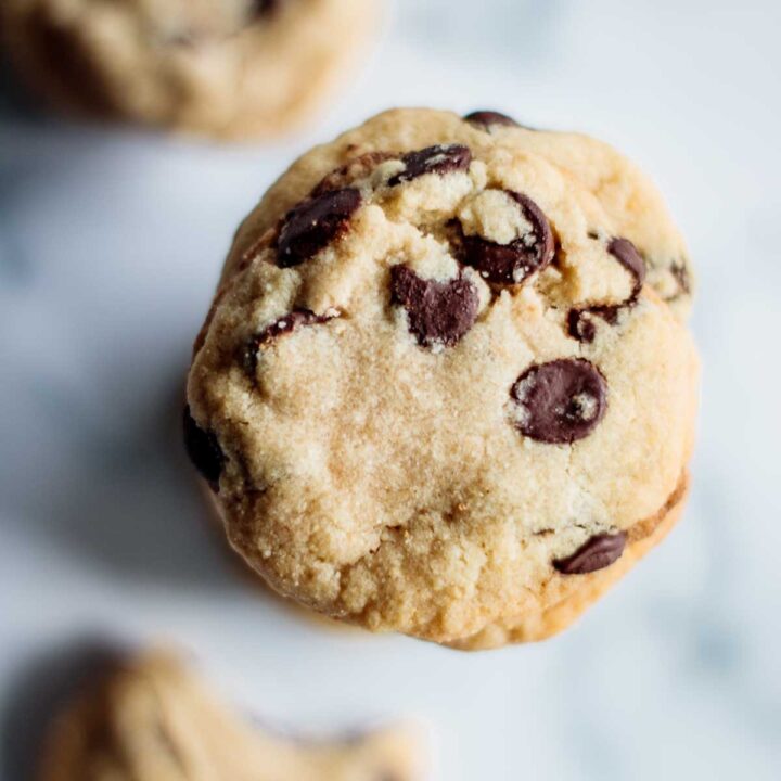 chocolate chip cookie close up