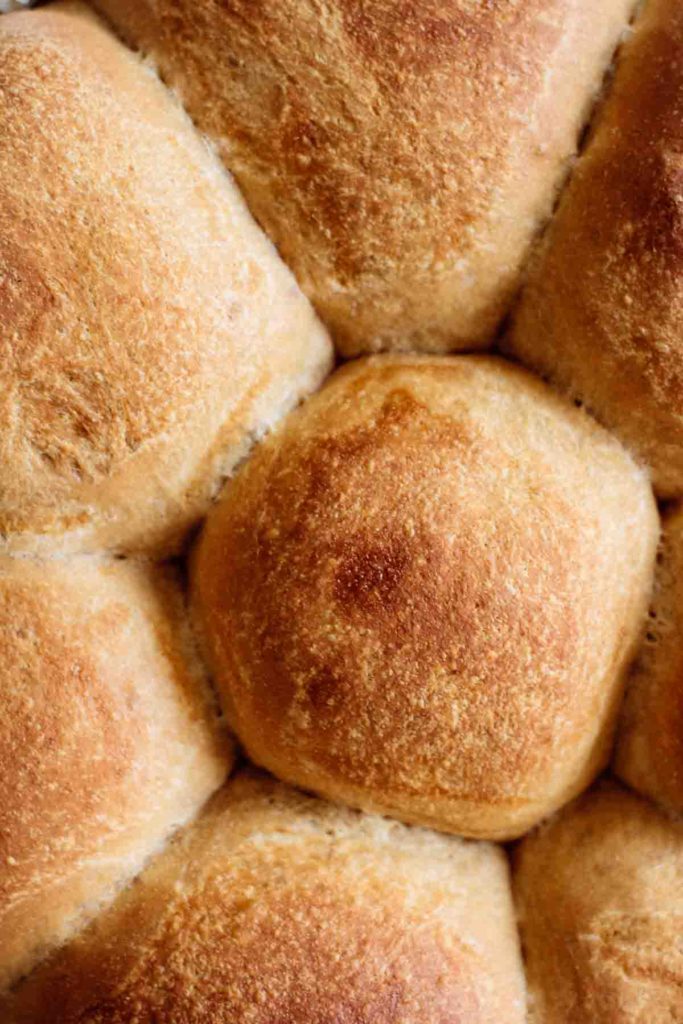 close up on baked rolls