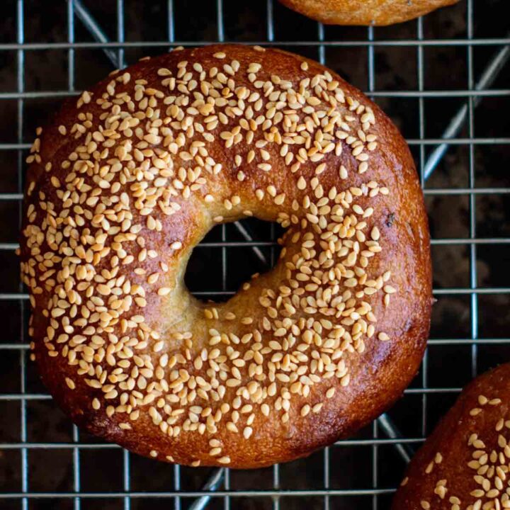 golden brown sourdough bagel with sesame seeds