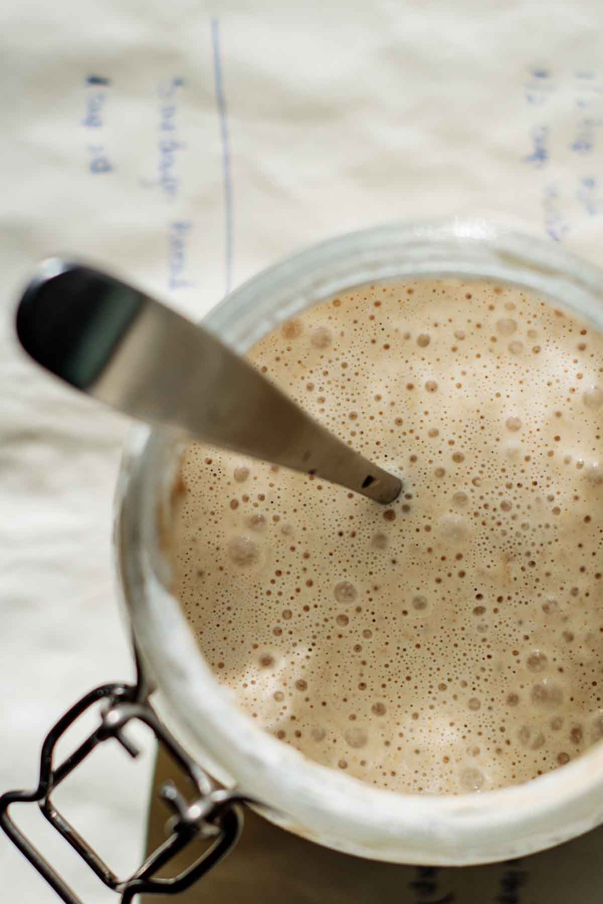 Active sourdough starter in a jar