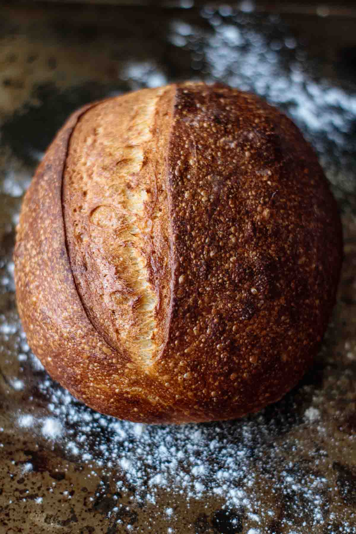 golden sourdough artisan bread baked without a Dutch oven