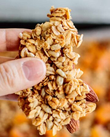 hand holding a big granola cluster