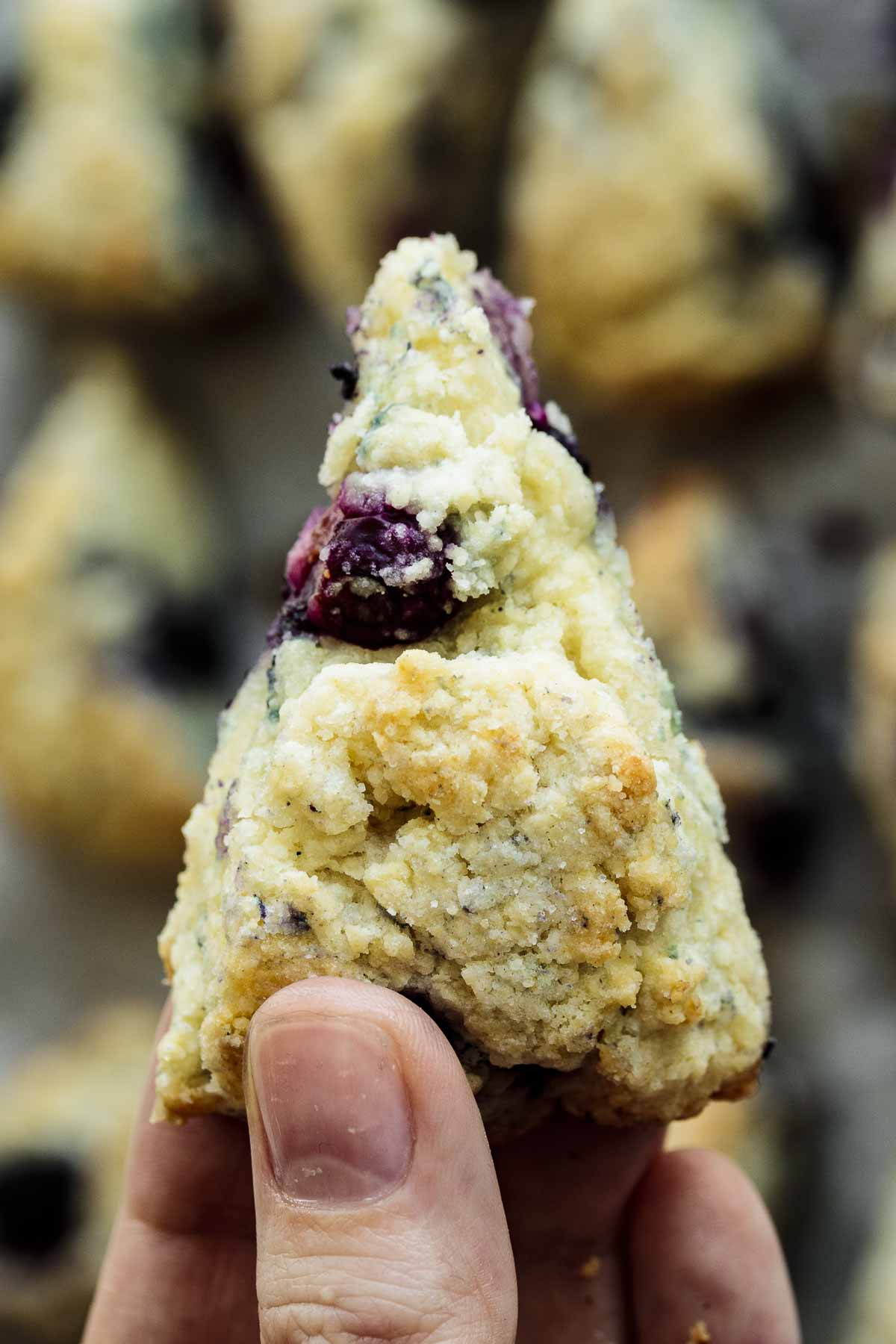 Hand holding a baked blueberry scone.