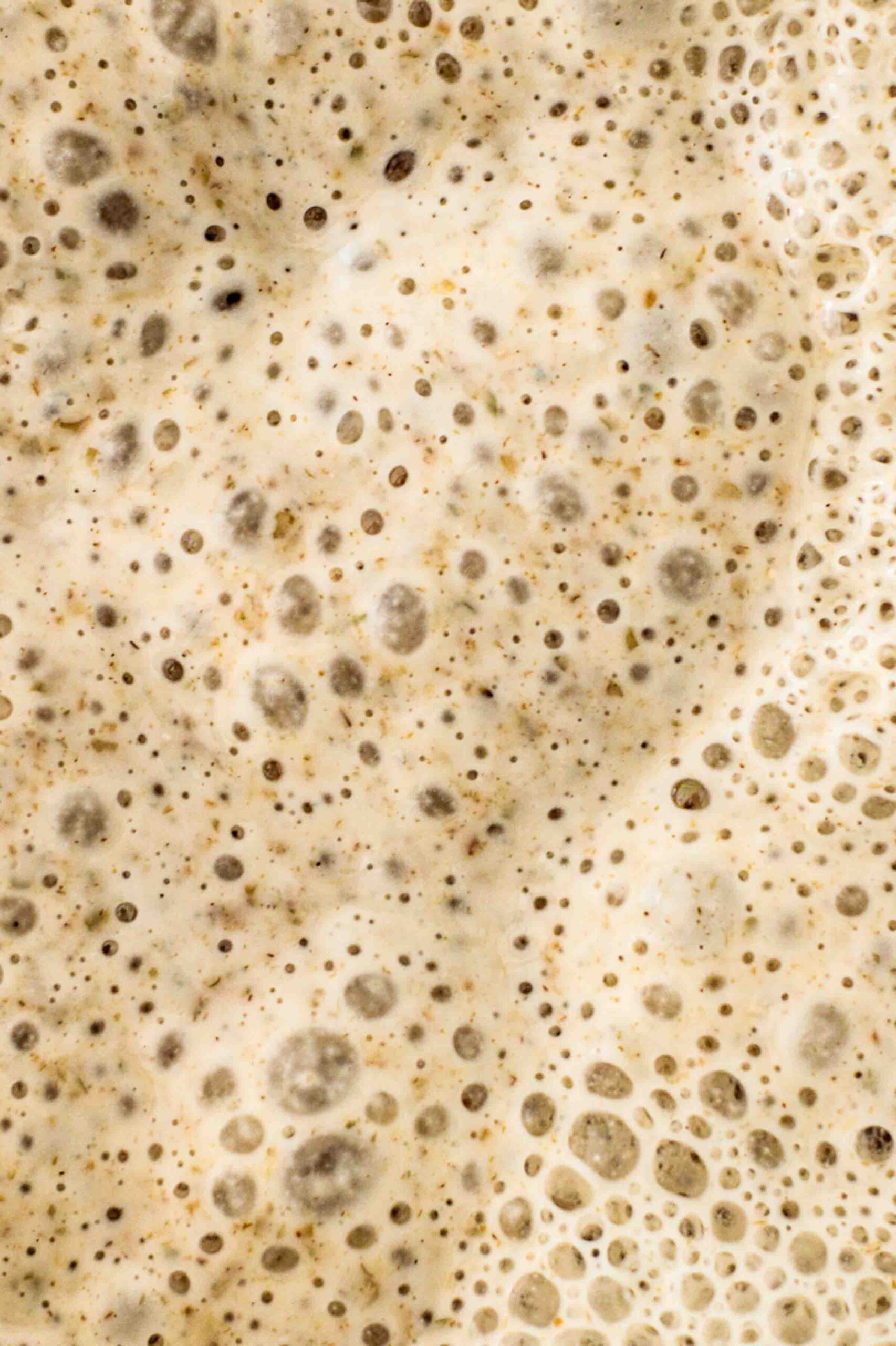 Bubbly sourdough starter.