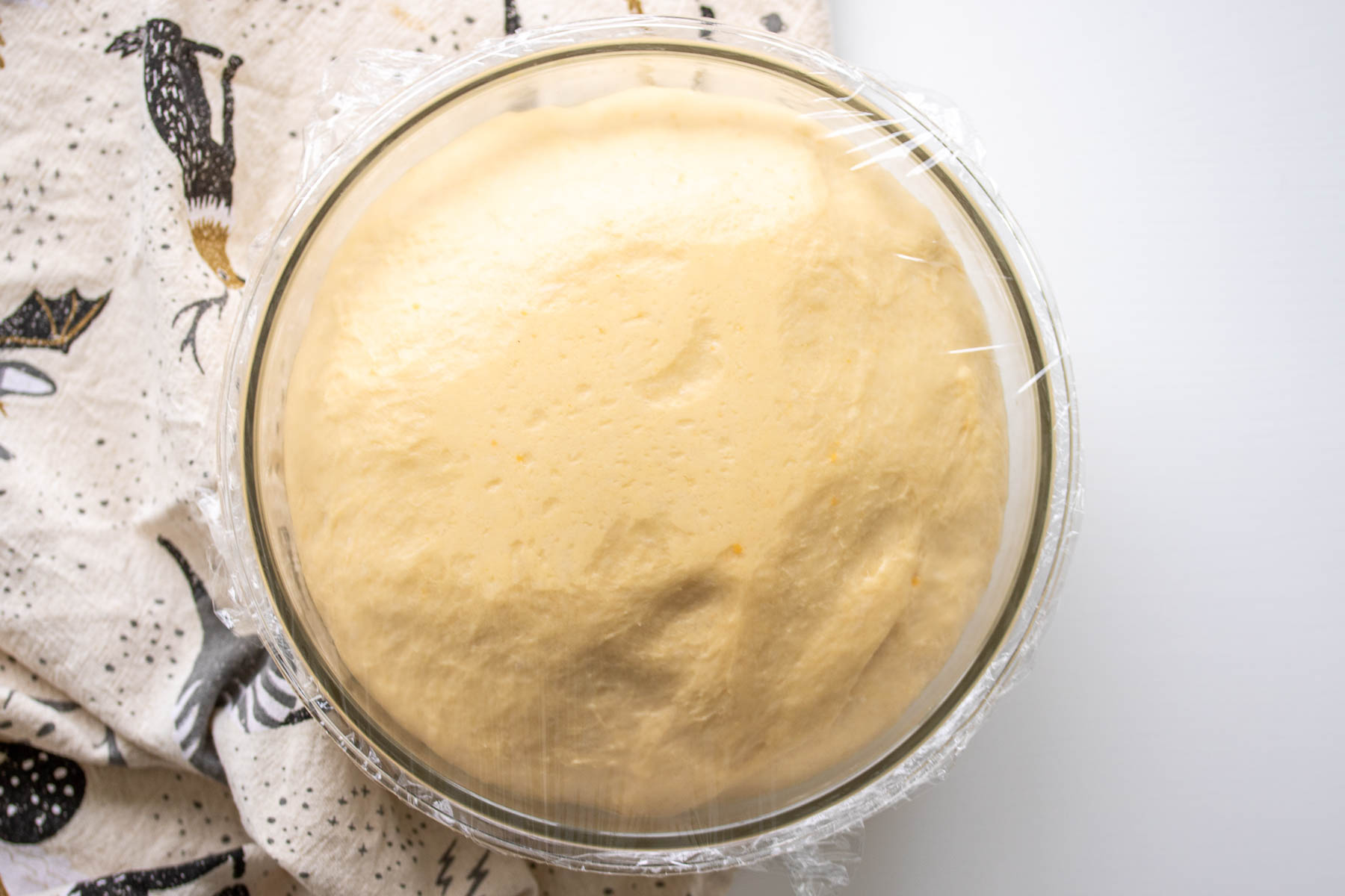 Dough after the first rise.