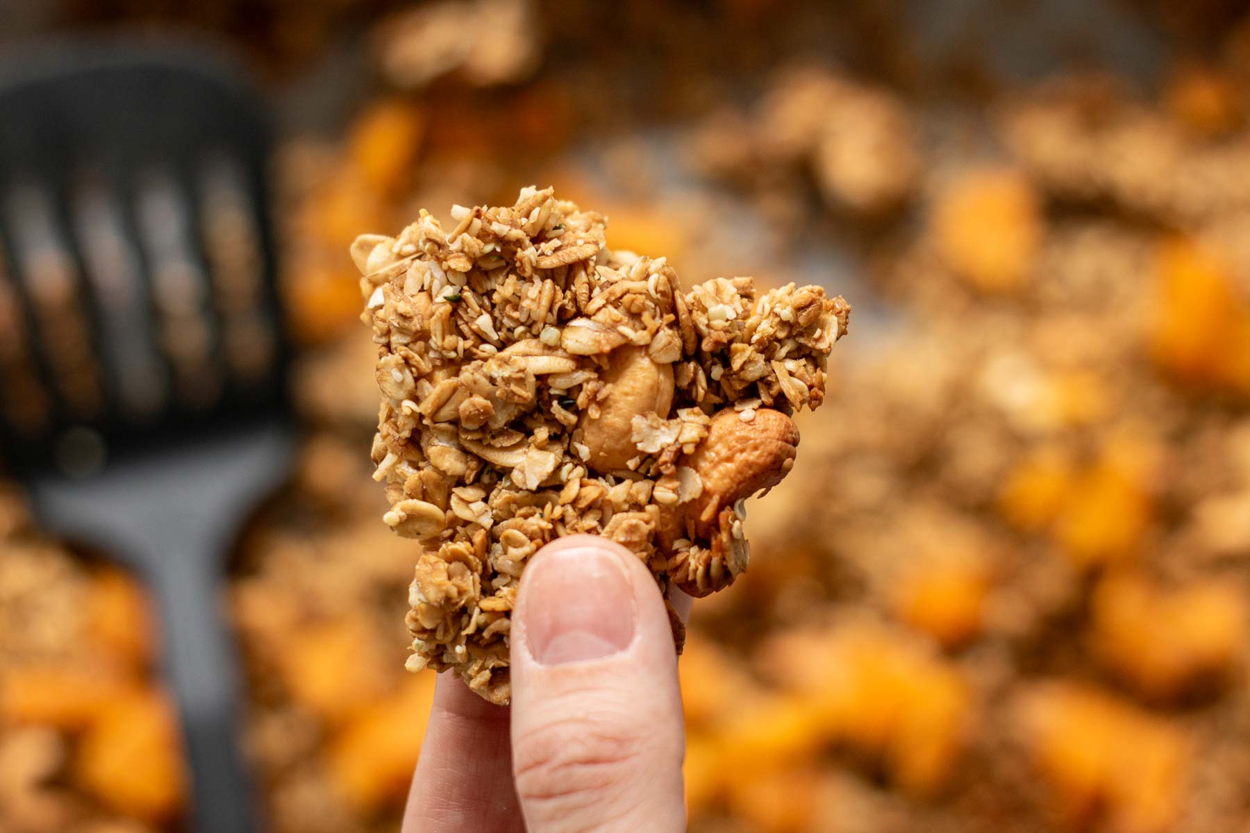 Hand holding a chunk of coconut granola.