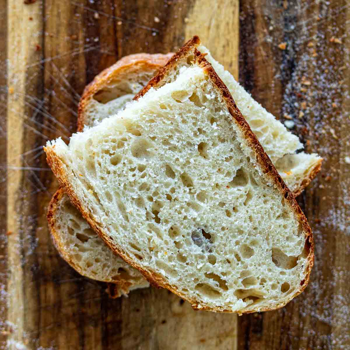 Bread Mold, Cheese Mold, And 5 Other Food Safety Questions Answered