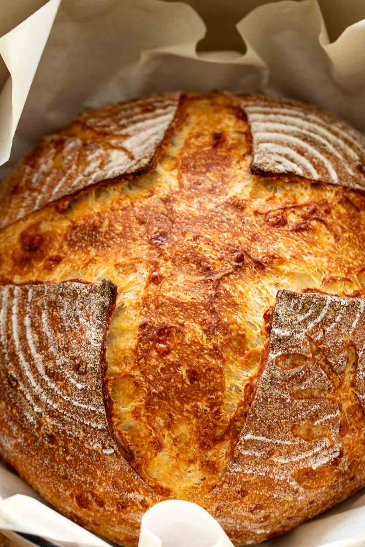 Crust of parmesan bread.