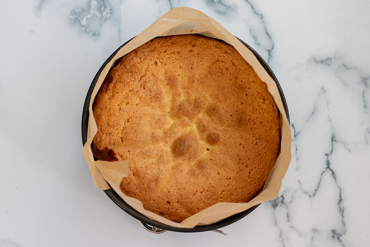 Baked paradise cake in pan.