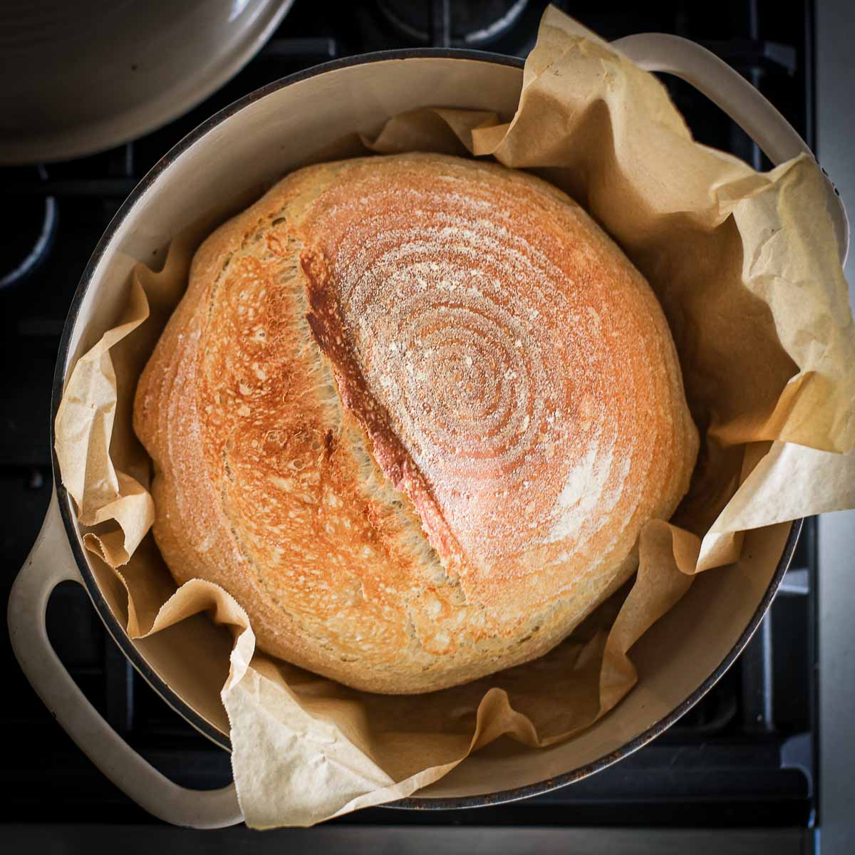 Sourdough discard bread inside a Dutch Oven, on top of parchment paper.