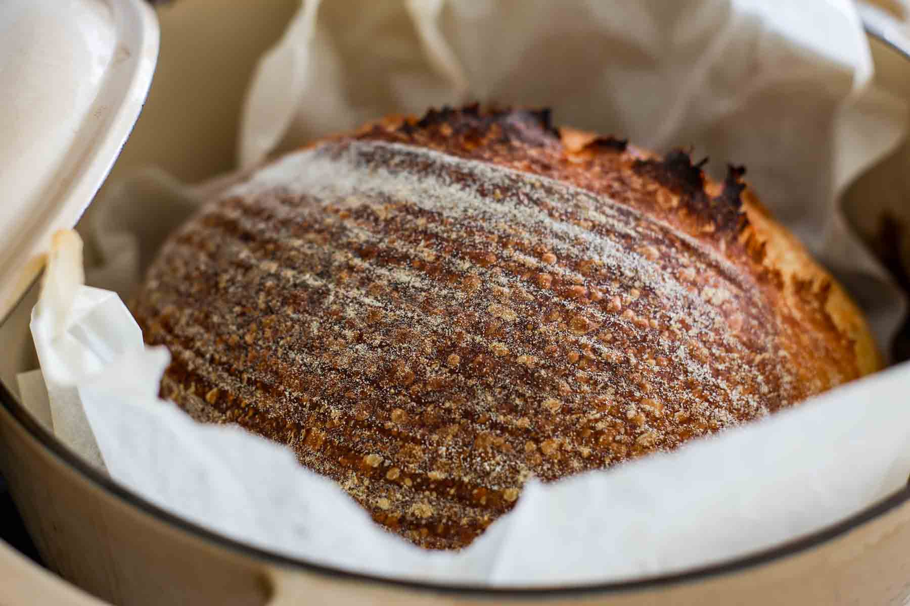 Sourdough bread crust with blisters.