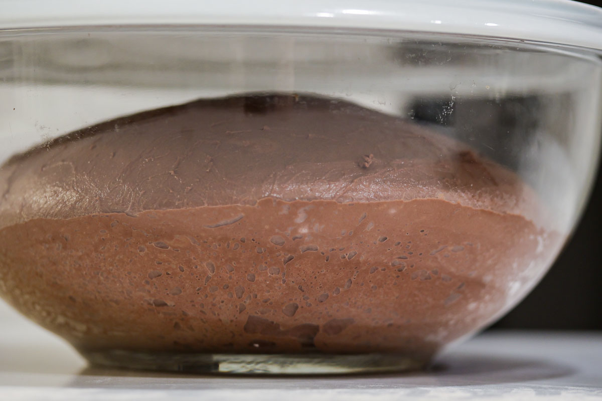 Bubbles on sides of the dough in a glass bowl.