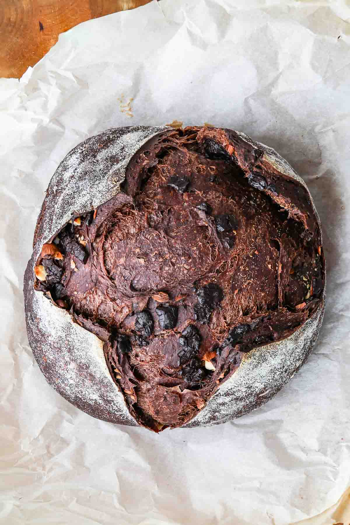 Sourdough chocolate bread boule over parchment paper.