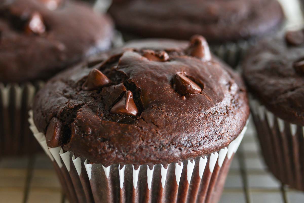 Sourdough chocolate muffin with chocolate chips on top.