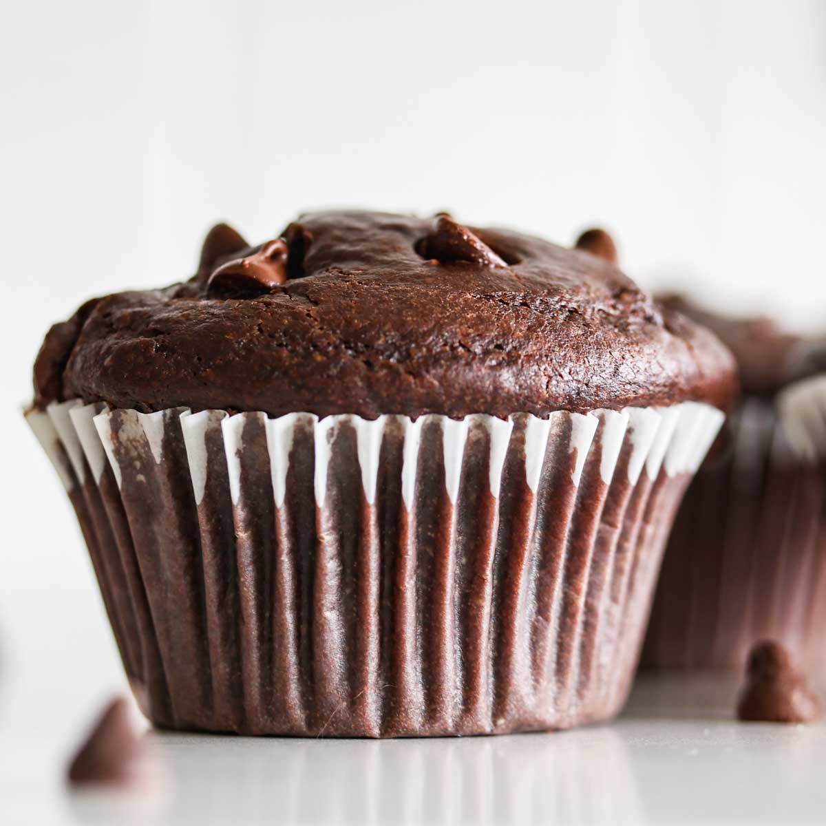 Chocolate sourdough muffins with chocolate chips on top.