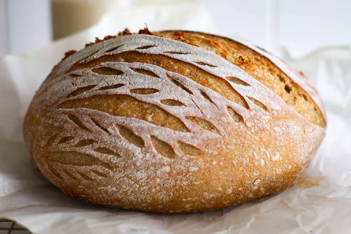 Sourdough discard bread.