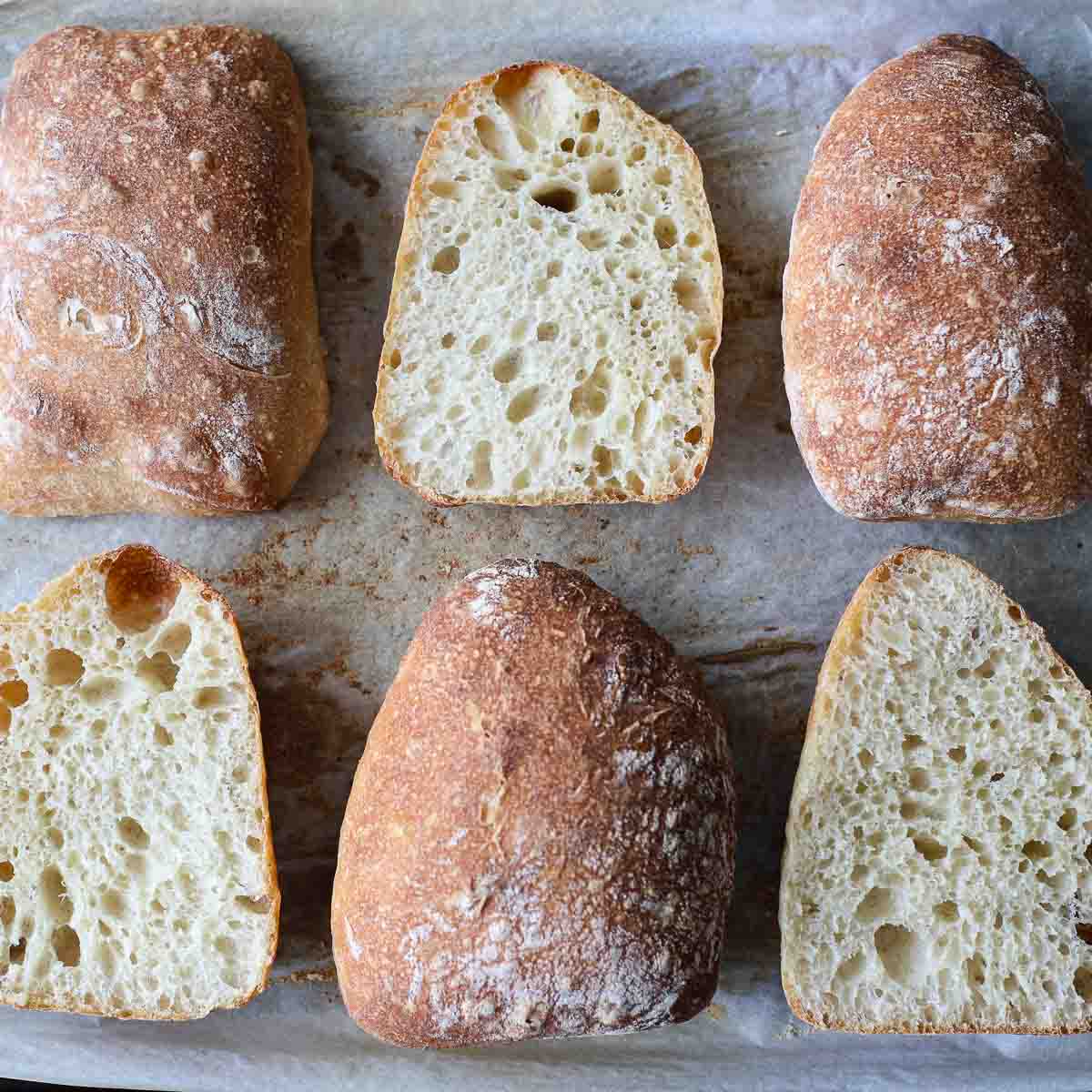 Sourdough ciabatta rolls, 3 whole, 3 sliced showing an open crumb.